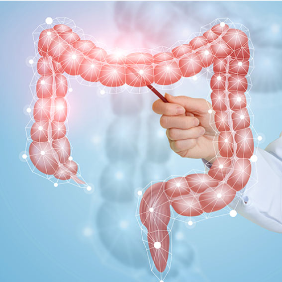 enfermedad diverticular GASTROEC Doctor Miguel Soria Gastroenterólogo Guayaquil Ecuador