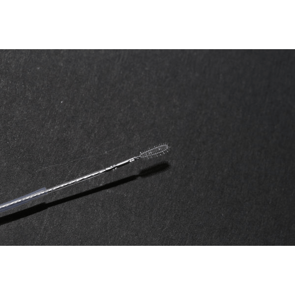 Single-use cell brush Guayaquil Ecuador gastroenterology gastroenterologo gastroenterología gastroec miguel soria