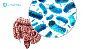 La microbiota intestinal